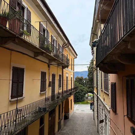 Angela 베르바니아